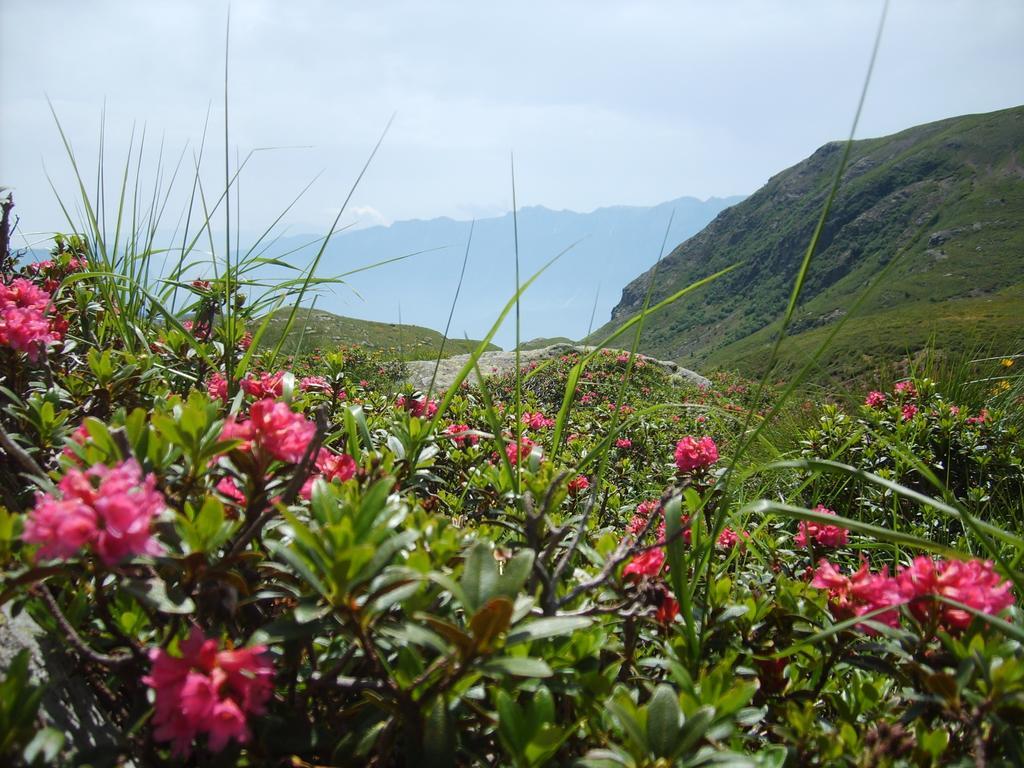 RoncegnoCasa Hueller公寓 外观 照片